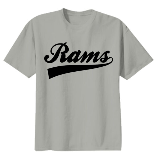 Presentation School Spirit Youth Grey Heavy Cotton 100% Cotton T Shirt 2 Thumbnail